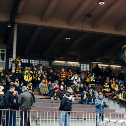 Regionalliga BVB Frauen - Fortuna Köln Frauen